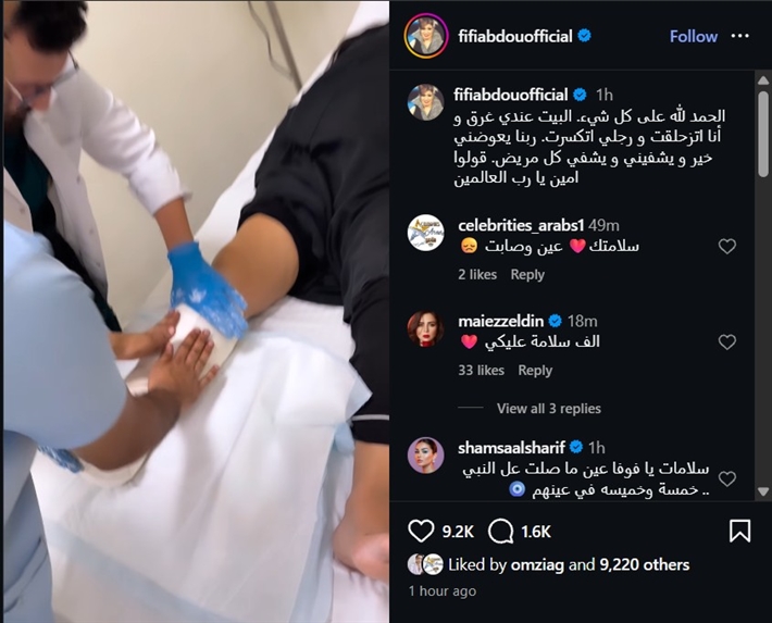 فيفي