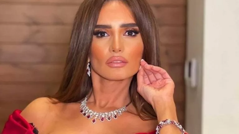 تصريحات زينة عن أحمد عز تشعل السوشيال ميديا.. ومحاميته ترد زينة